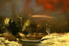 Jackson Hensley Gallery: Image